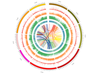 Genomeimg